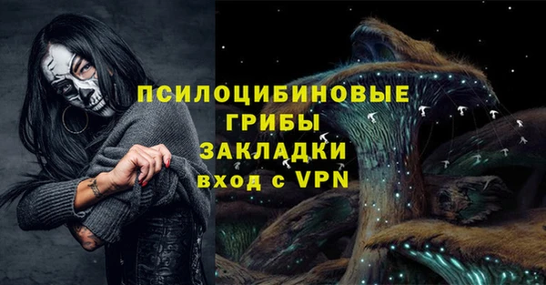 PSILOCYBIN Балабаново