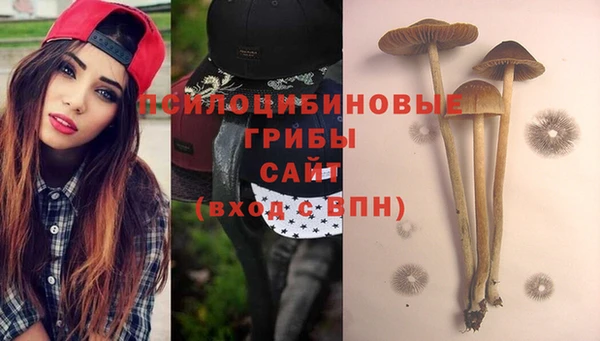 MESCALINE Баксан