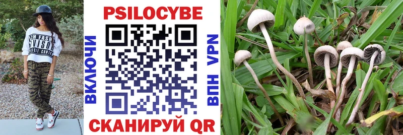 blacksprut рабочий сайт  где можно купить наркотик  Кондрово  Галлюциногенные грибы мицелий 